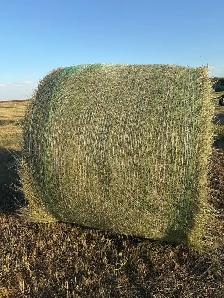 Round Hay Bales - Photo 3