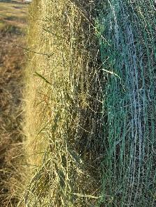 Round Hay Bales - Photo 5