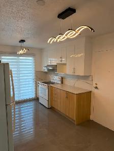 4 1/2  CONDO, entièrement rénové, haut-de-gamme $1695 - Photo 6