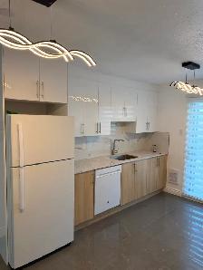 4 1/2  CONDO, entièrement rénové, haut-de-gamme $1695 - Photo 7