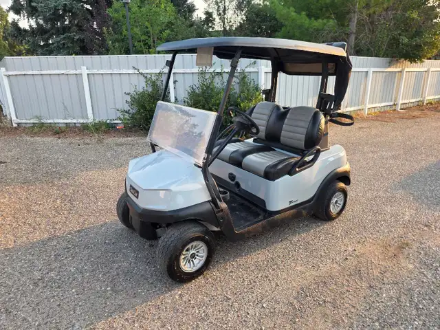 Electric Golf Cart