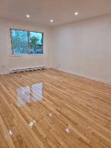 Renovated and freshly painted big 5 1/2 will be rent 1st of Sept - Photo 3