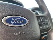 2022 Ford F150 4x2 - Regular Cab XL - 141 WB - Photo 17