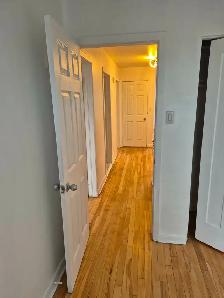 Renovated and freshly painted big 5 1/2 will be rent 1st of Sept - Photo 3