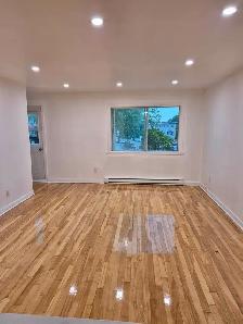 Renovated and freshly painted big 5 1/2 will be rent 1st of Sept - Photo 9