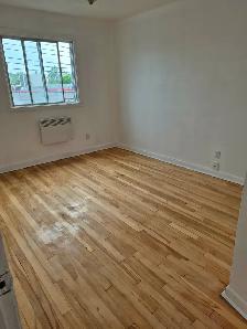 Renovated and freshly painted big 5 1/2 will be rent 1st of Sept - Photo 13