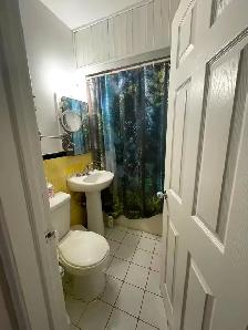 Beautiful Cozy and bright 2 bedrooms apt, big roof patio - $1490 - Photo 3