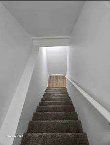 1-bedroom, 1-bathroom Basement Suite - For Rent, Rosewood - Photo 2