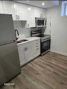 1-bedroom, 1-bathroom Basement Suite - For Rent, Rosewood - Photo 3