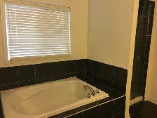 Spacious 4-Bedroom Home for Lease – Upper Mountain. Stoney Creek - Photo 7