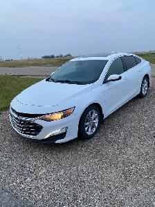 2019 car
