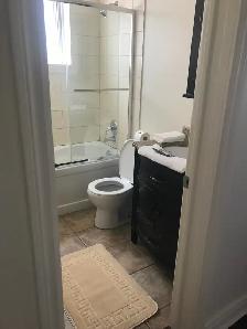 BREATHTAKING ONE BEDROOM  HUGH APARTMENT - Photo 3