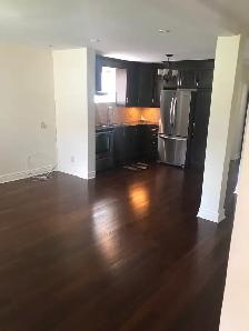 BREATHTAKING ONE BEDROOM  HUGH APARTMENT - Photo 4