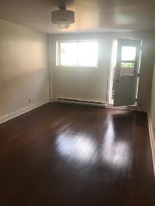 BREATHTAKING ONE BEDROOM  HUGH APARTMENT - Photo 8