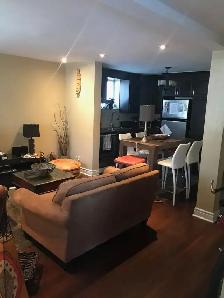 BREATHTAKING ONE BEDROOM  HUGH APARTMENT - Photo 10