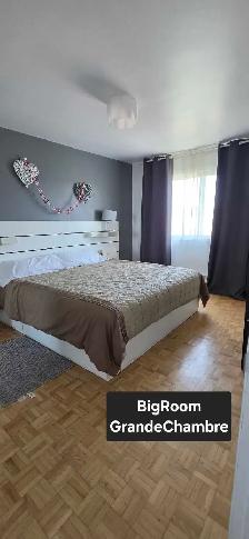 Colocation Anjou : 2 chambres tout inclus (600$