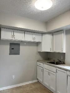TWO BEDROOM APARTMENT AVAILABLE AT 40 ROSE STREET - WELCOME TO T - Photo 4