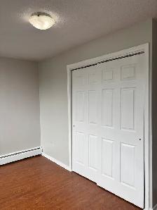 TWO BEDROOM APARTMENT AVAILABLE AT 40 ROSE STREET - WELCOME TO T - Photo 11