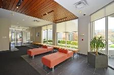 Renovated studio, Queen and niagara - ID 3577 - Photo 7