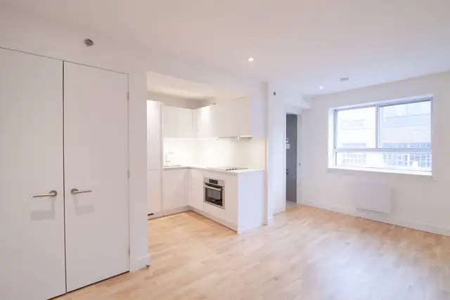 Renovated studio near blvd Saint-Laurent - ID 1090