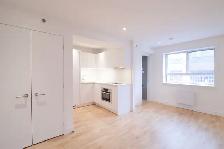 Renovated studio near blvd Saint-Laurent - ID 1090