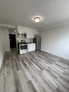 NEWLY RENOVATED - BACHELOR UNITS - Photo 2