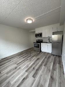 NEWLY RENOVATED - BACHELOR UNITS - Photo 3