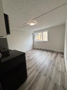 NEWLY RENOVATED - BACHELOR UNITS - Photo 4