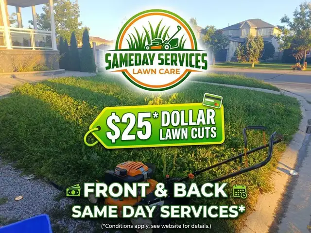 grass Cutting $20 Barrie