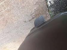 2021 Ram 1500 Rebel - Photo 17