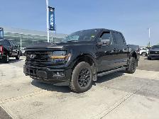 2024 Ford F 150 XLT