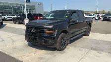 2024 Ford F 150 XLT - Photo 4