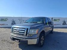 2010 Ford F-150
