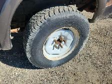 2002 Ford F-150 - Photo 22