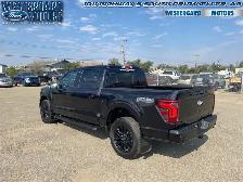 2025 Ford F-150 Lariat - Photo 3