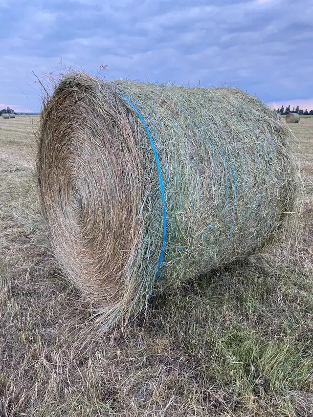 5x6 bales