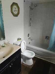 Furnished master bedroom with private bathroom for rent. - Photo 6