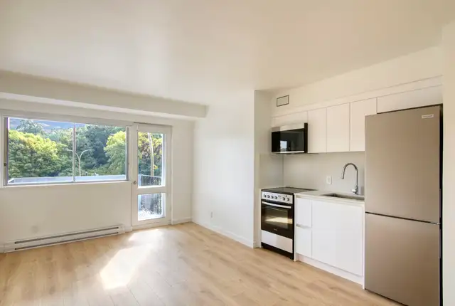 renovated studio apartment in the Plateau - ID 3908