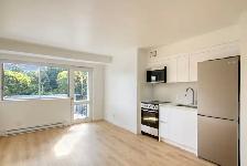 renovated studio apartment in the Plateau - ID 3908