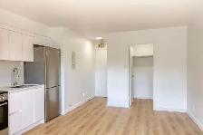 renovated studio apartment in the Plateau - ID 3908 - Photo 4