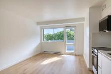 renovated studio apartment in the Plateau - ID 3908 - Photo 5