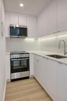 renovated studio apartment near Parc Jeanne-Mance - ID 3938 - Photo 5