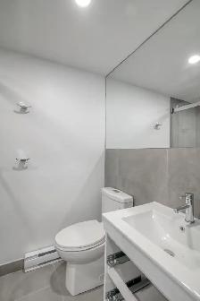renovated studio apartment near Parc Jeanne-Mance - ID 3938 - Photo 6