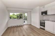 Renovated studio apartment in Outremont - ID 3489