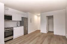 Renovated studio apartment in Outremont - ID 3489 - Photo 3