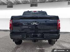 2025 Ford F-150 XLT - Photo 4