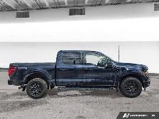 2025 Ford F-150 XLT - Photo 6