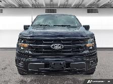 2025 Ford F-150 XLT - Photo 8