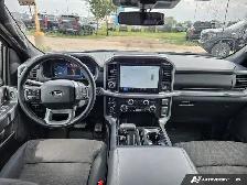 2025 Ford F-150 XLT - Photo 10