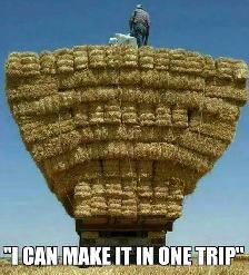 2026 clean oat straw